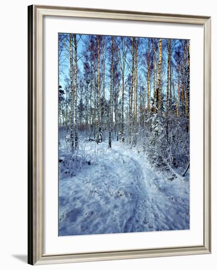 Sweden, Torso, Lake Vanern, Trail-James Denk-Framed Photographic Print