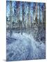 Sweden, Torso, Lake Vanern, Trail-James Denk-Mounted Photographic Print