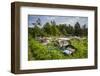 Sweden, Varmland, Bastnas, Bastnas Car Cemetery public park, antique car junkyard-Walter Bibikow-Framed Photographic Print