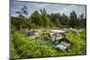 Sweden, Varmland, Bastnas, Bastnas Car Cemetery public park, antique car junkyard-Walter Bibikow-Mounted Photographic Print