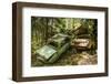 Sweden, Varmland, Bastnas, Bastnas Car Cemetery public park, antique car junkyard-Walter Bibikow-Framed Photographic Print