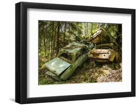 Sweden, Varmland, Bastnas, Bastnas Car Cemetery public park, antique car junkyard-Walter Bibikow-Framed Photographic Print