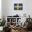 Sweden-David Bowman-Giclee Print displayed on a wall