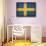 Sweden-David Bowman-Framed Stretched Canvas displayed on a wall