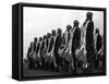 Swedish Air Cadets-null-Framed Stretched Canvas