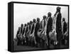 Swedish Air Cadets-null-Framed Stretched Canvas