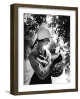 Swedish Hop Picker-null-Framed Photographic Print