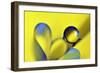 Swedish Kiss-Heidi Westum-Framed Photographic Print