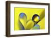 Swedish Kiss-Heidi Westum-Framed Photographic Print