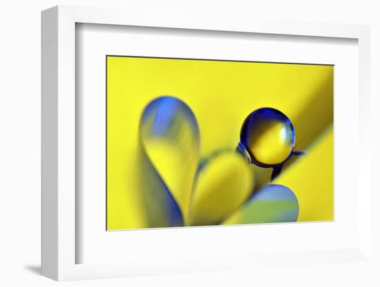 Swedish Kiss-Heidi Westum-Framed Photographic Print