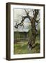 Swedish Landscape, 1882-Olof Hermelin-Framed Giclee Print