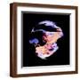 Brown Frame