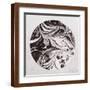 Brown Frame