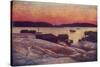 Swedish Scenery: a Summer Evening on the West Coast-null-Stretched Canvas