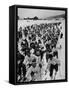 Swedish Ski Meet-Carl Mydans-Framed Stretched Canvas