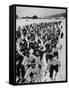 Swedish Ski Meet-Carl Mydans-Framed Stretched Canvas