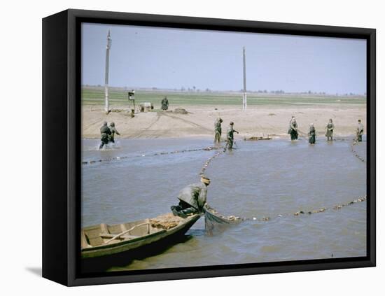 Sweep Net Fishing for Sturgeon at "Tanya" in Volga River Delta Nr. Astrakhan, Russia-Carl Mydans-Framed Stretched Canvas