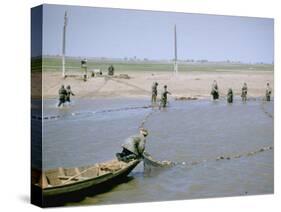 Sweep Net Fishing for Sturgeon at "Tanya" in Volga River Delta Nr. Astrakhan, Russia-Carl Mydans-Stretched Canvas