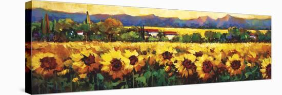 Sweeping Fields of Sunflowers-Nancy O'toole-Stretched Canvas