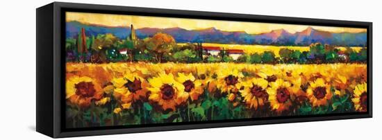 Sweeping Fields of Sunflowers-Nancy O'toole-Framed Stretched Canvas