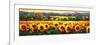 Sweeping Fields of Sunflowers-Nancy O'toole-Framed Art Print