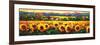 Sweeping Fields of Sunflowers-Nancy O'toole-Framed Art Print