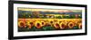 Sweeping Fields of Sunflowers-Nancy O'toole-Framed Art Print