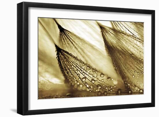 Sweeping in the Rain-Gold-Ursula Abresch-Framed Photographic Print