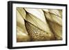 Sweeping in the Rain-Gold-Ursula Abresch-Framed Photographic Print