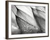 Sweeping in the Rain-Ursula Abresch-Framed Photographic Print