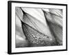 Sweeping in the Rain-Ursula Abresch-Framed Photographic Print