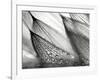 Sweeping in the Rain-Ursula Abresch-Framed Photographic Print