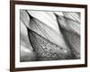 Sweeping in the Rain-Ursula Abresch-Framed Photographic Print