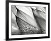 Sweeping in the Rain-Ursula Abresch-Framed Photographic Print