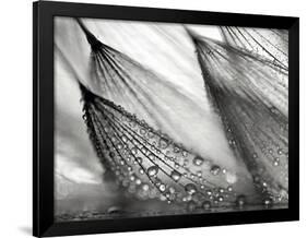 Sweeping in the Rain-Ursula Abresch-Framed Photographic Print