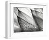 Sweeping in the Rain-Ursula Abresch-Framed Premium Photographic Print