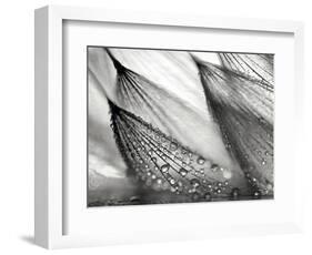 Sweeping in the Rain-Ursula Abresch-Framed Photographic Print