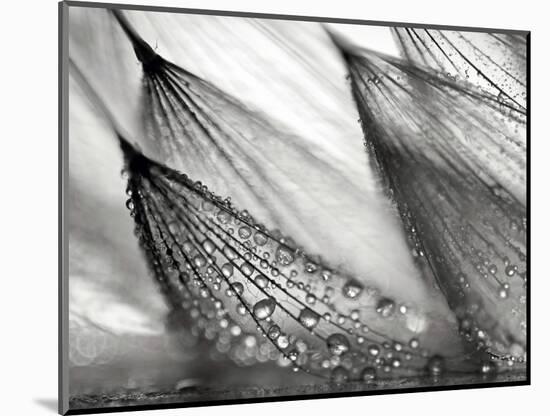 Sweeping in the Rain-Ursula Abresch-Mounted Photographic Print