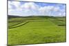 Sweeping Landscape Featuring Dry Stone Walls in Spring, Peak District National Park, Near Litton-Eleanor Scriven-Mounted Photographic Print