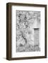 Sweet Abandon No. 2-Courtney Crane-Framed Photographic Print