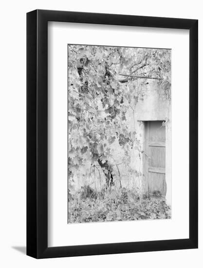 Sweet Abandon No. 2-Courtney Crane-Framed Photographic Print