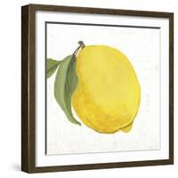 Sweet and Sour-Aimee Wilson-Framed Art Print