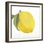 Sweet and Sour-Aimee Wilson-Framed Art Print