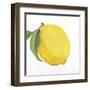 Sweet and Sour-Aimee Wilson-Framed Art Print