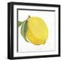 Sweet and Sour-Aimee Wilson-Framed Art Print