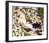 Sweet and Thoughtful-Colette Boivin-Framed Art Print