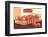 Sweet Apricots-Bjoern Baar-Framed Art Print