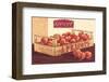 Sweet Apricots-Bjoern Baar-Framed Art Print