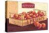 Sweet Apricots-Bjoern Baar-Stretched Canvas