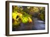 Sweet Automn-Viviane Fedieu Daniel-Framed Photographic Print